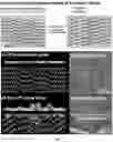 Fig. 02 - METHOD FOR DIRECTING CELL ADHESION AND GROWTH USING ULTRATHIN STRIPED MOLECULAR FILMS