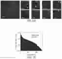 Fig. 07 - AMPLIFICATION METHODS AND SYSTEMS FOR MERFISH AND OTHER APPLICATIONS