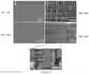 Fig. 09 - SHAPE MEMORY POLYMER ACTUATORS