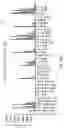 Fig. 07 - CORE3-MUC1 binding polypeptides and uses thereof