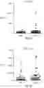 Fig. 49 - CORE3-MUC1 binding polypeptides and uses thereof