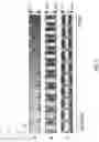 Fig. 06 - Methods for producing magnetic resonance images with sub-millisecond temporal resolution