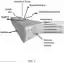 Fig. 02 - Graphene based substrates for imaging
