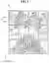 Fig. 02 - Display device including display devices connected together via protrusions and grooves