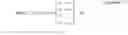 Fig. 18 - Method for estimating distance using wireless carrier signal phase measurement