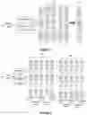 Fig. 07 - Deep embedded self-taught learning system and method for detecting suspicious network behaviours