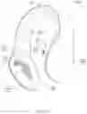 Fig. 02 - HEADPHONE ADAPTED TO PROVIDE IMPROVED PERFORMANCE AND COMFORT FOR EYEGLASS WEARERS