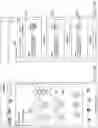 Fig. 167 - Complex computing network for improving establishment and broadcasting of audio communication among mobile computing devices and providing descriptive operator access for improving user experience