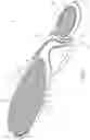 Fig. 03 - Insole