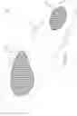 Fig. 13 - Insole