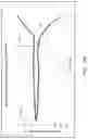 Fig. 24 - Insole