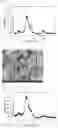 Fig. 03 - Composition for oral cavity