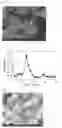 Fig. 04 - Composition for oral cavity