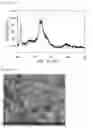 Fig. 05 - Composition for oral cavity