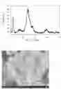 Fig. 06 - Composition for oral cavity