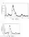 Fig. 07 - Composition for oral cavity