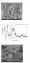 Fig. 08 - Composition for oral cavity