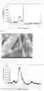 Fig. 09 - Composition for oral cavity
