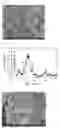 Fig. 10 - Composition for oral cavity