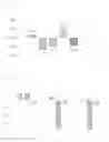 Fig. 15 - Composition for oral cavity