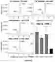 Fig. 11 - COMPOSITIONS AND METHODS FOR HEMOGLOBIN PRODUCTION