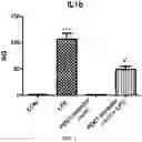 Fig. 03 - ORGANIC COMPOUNDS