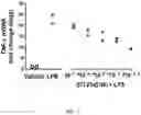 Fig. 07 - ORGANIC COMPOUNDS