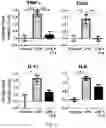 Fig. 08 - ORGANIC COMPOUNDS