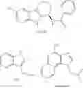 Fig. 04 - Nucleotide Analogs