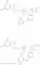 Fig. 141 - Nucleotide Analogs