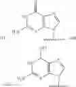 Fig. 18 - Nucleotide Analogs