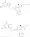 Fig. 198 - Nucleotide Analogs