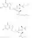 Fig. 200 - Nucleotide Analogs
