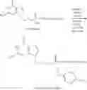 Fig. 204 - Nucleotide Analogs
