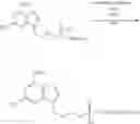 Fig. 211 - Nucleotide Analogs