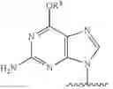 Fig. 277 - Nucleotide Analogs