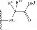 Fig. 91 - Nucleotide Analogs