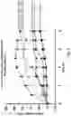 Fig. 04 - PHARMACEUTICAL COMPOSITION WHICH COMPRISES THE COMBINATION OF A SELECTIVE INHIBITOR OF CYCLOOXYGENASE 2 AND A CARBAMATE DERIVED FROM GUAIFENESIN FOR TREATING PAIN, INFLAMMATION AND MUSCULAR CONTRACTION