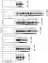 Fig. 67 - Methods and compositions for treating cancers and enhancing therapeutic immunity by selectively reducing immunomodulatory M2 monocytes