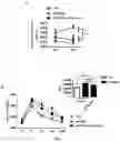 Fig. 02 - sp. bacterium and use thereof