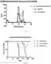 Fig. 09 - Methods and gene therapy constructs for treating GM2 gangliosidoses