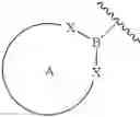 Fig. 63 - BORYLIMIDE CATALYSTS
