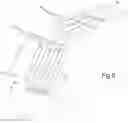 Fig. 09 - Sorting apparatus with a LIBS laser device