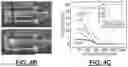 Fig. 15 - Additively manufactured self-supporting microfluidics