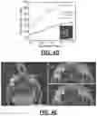 Fig. 16 - Additively manufactured self-supporting microfluidics
