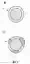Fig. 02 - Method for producing an adhesive filament, and adhesive filament