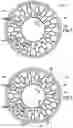 Fig. 02 - Tire tread with a band layer