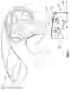 Fig. 02 - Sound insulation element for the firewall of a vehicle body and support element for a sound insulation element of this type