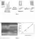 Fig. 02 - Preparation method of carbon nitride electrode material