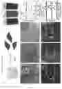 Fig. 02 - TWO-DIMENSIONAL ARRAYS OF TRANSITION METAL NITRIDE NANOCRYSTALS